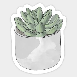 A cute potted succulent Sticker